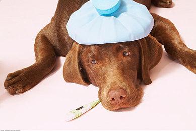 PS5主机应该横放还是竖放引热议 索尼表示都可以